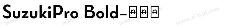 SuzukiPro Bold字体转换